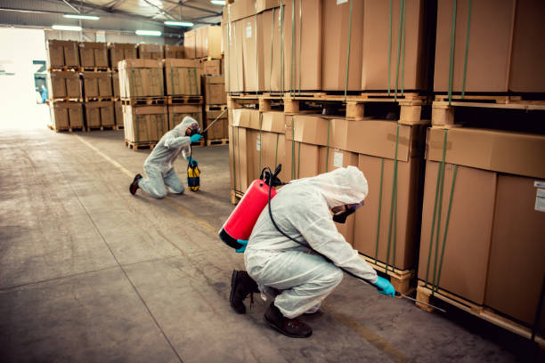 Best Commercial Pest Control Services  in St David, AZ