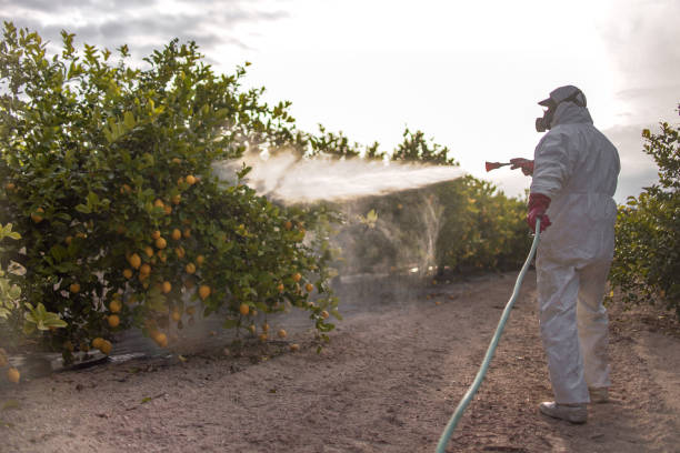 Best Pest Control Near Me  in St David, AZ