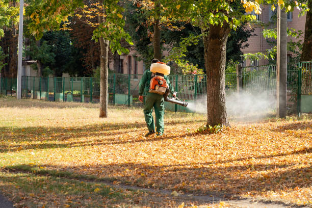 Best Pest Prevention Services  in St David, AZ