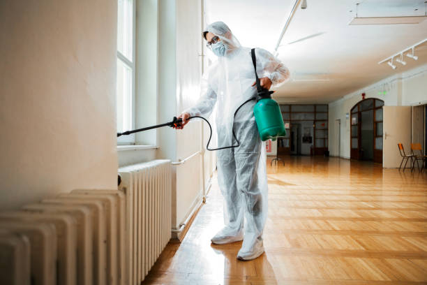 Best Flea Control Services  in St David, AZ