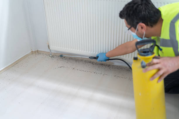 St David, AZ Pest Control Company