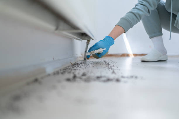 Pest Control Cost in St David, AZ